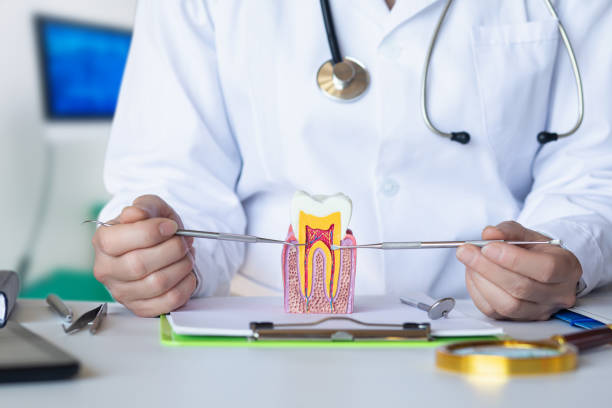 Best Emergency Gum Pain Relief  in Arlington Heights, IL